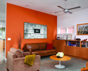 AFM Safecoat interior paint