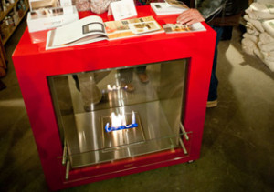 EcoSmart Fire