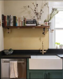Paperstone compressed paper countertop in Gunmetal- Tadelakt plaster backsplash- custom cabinets