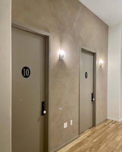 American Clay integral color plaster at The Citizen Hotel
