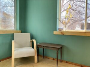 Real Milk Paint color Tropical Jade