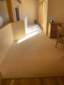 Earthweave Bio-floor McKinley in Sand Dollar