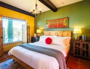 Bioshield Clay Paint in Birdwatcher's Green and Desert